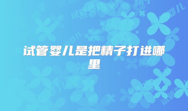 试管婴儿是把精子打进哪里