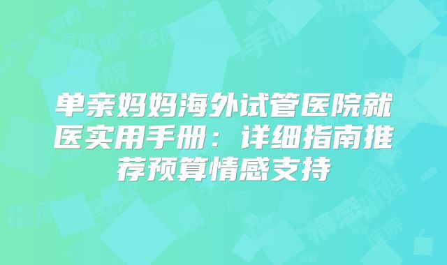 单亲妈妈海外试管医院就医实用手册：详细指南推荐预算情感支持