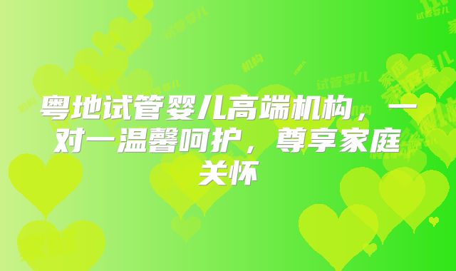 粤地试管婴儿高端机构,一对一温馨呵护,尊享家庭关怀
