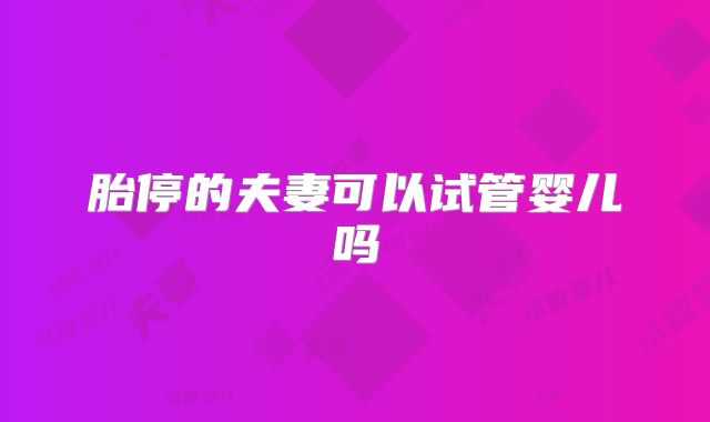胎停的夫妻可以试管婴儿吗
