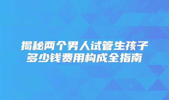 揭秘两个男人试管生孩子多少钱费用构成全指南