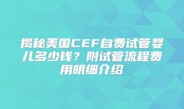 揭秘美国CEF自费试管婴儿多少钱？附试管流程费用明细介绍
