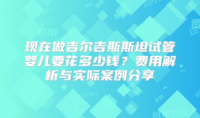 现在做吉尔吉斯斯坦试管婴儿要花多少钱？费用解析与实际案例分享