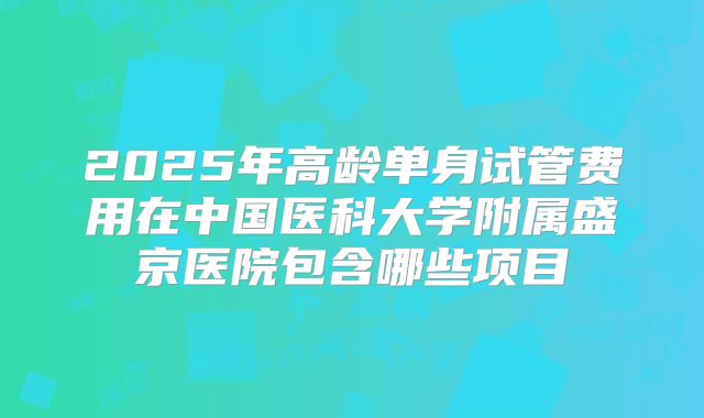 2025年高龄单身试管费用在中国医科大学附属盛京医院包含哪些项目