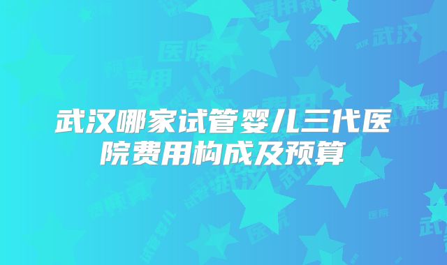 武汉哪家试管婴儿三代医院费用构成及预算