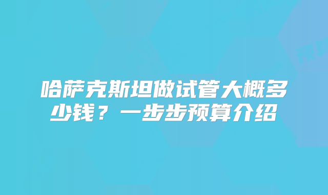 哈萨克斯坦做试管大概多少钱？一步步预算介绍