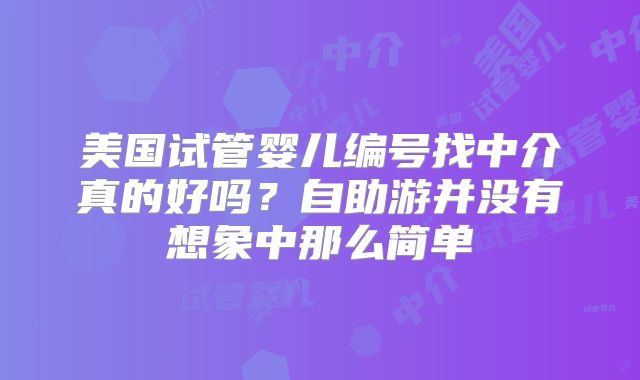 美国试管婴儿编号找中介真的好吗？自助游并没有想象中那么简单