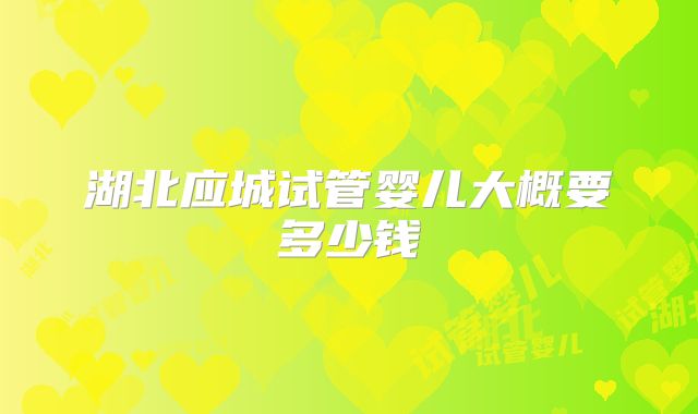 湖北应城试管婴儿大概要多少钱