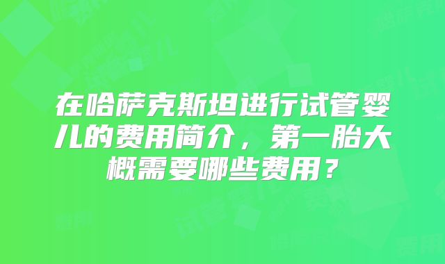 在哈萨克斯坦进行试管婴儿的费用简介，第一胎大概需要哪些费用？