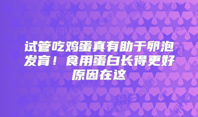 试管吃鸡蛋真有助于卵泡发育！食用蛋白长得更好原因在这