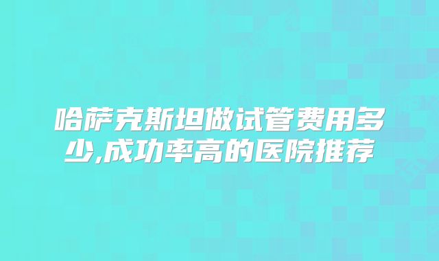 哈萨克斯坦做试管费用多少,成功率高的医院推荐