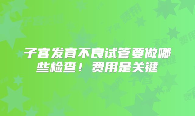 子宫发育不良试管要做哪些检查！费用是关键
