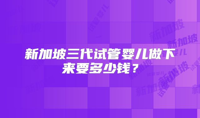 新加坡三代试管婴儿做下来要多少钱？