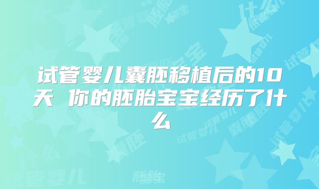 试管婴儿囊胚移植后的10天 你的胚胎宝宝经历了什么