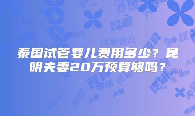 泰国试管婴儿费用多少？昆明夫妻20万预算够吗？
