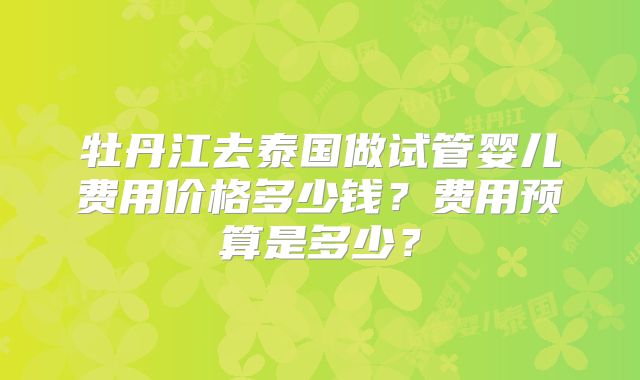 牡丹江去泰国做试管婴儿费用价格多少钱？费用预算是多少？