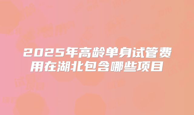 2025年高龄单身试管费用在湖北包含哪些项目
