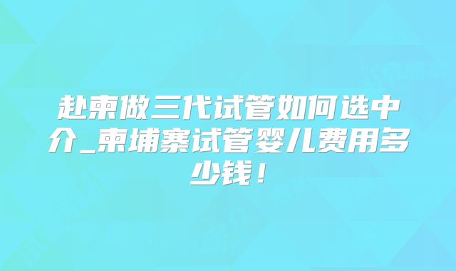 赴柬做三代试管如何选中介_柬埔寨试管婴儿费用多少钱！