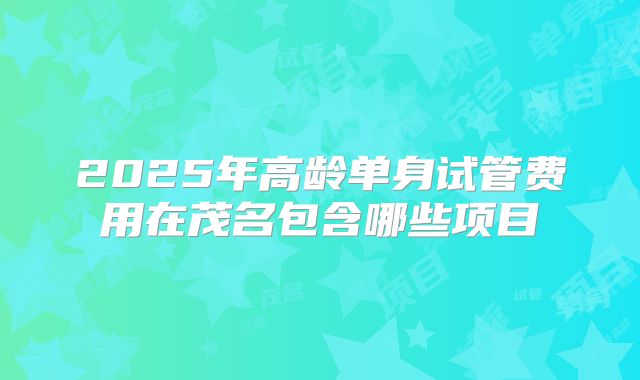 2025年高龄单身试管费用在茂名包含哪些项目
