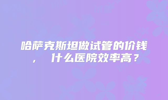 哈萨克斯坦做试管的价钱， 什么医院效率高？