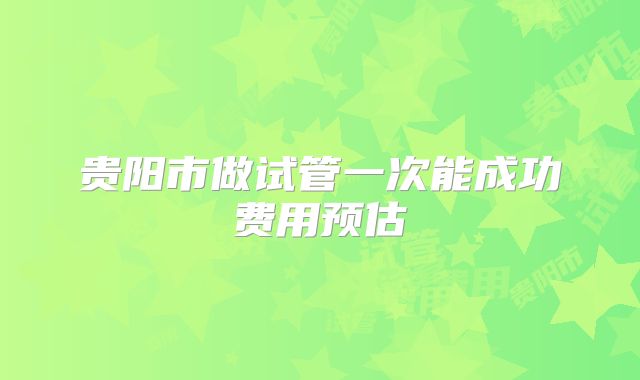 贵阳市做试管一次能成功费用预估