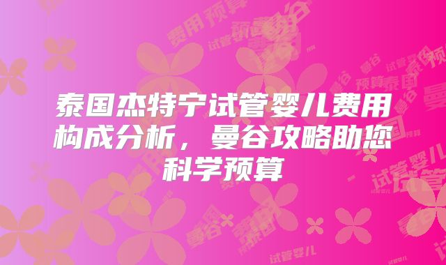 泰国杰特宁试管婴儿费用构成分析，曼谷攻略助您科学预算