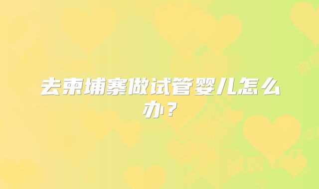 去柬埔寨做试管婴儿怎么办？