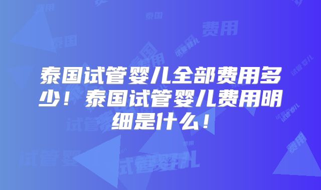 泰国试管婴儿全部费用多少！泰国试管婴儿费用明细是什么！