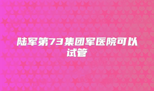 陆军第73集团军医院可以试管