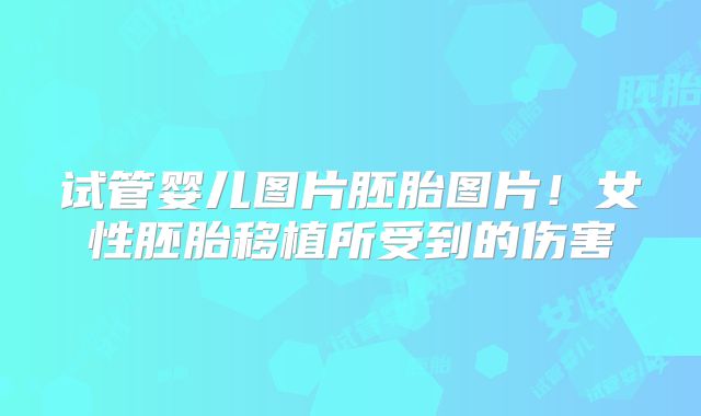 试管婴儿图片胚胎图片！女性胚胎移植所受到的伤害
