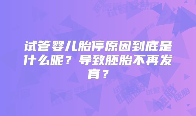 试管婴儿胎停原因到底是什么呢？导致胚胎不再发育？