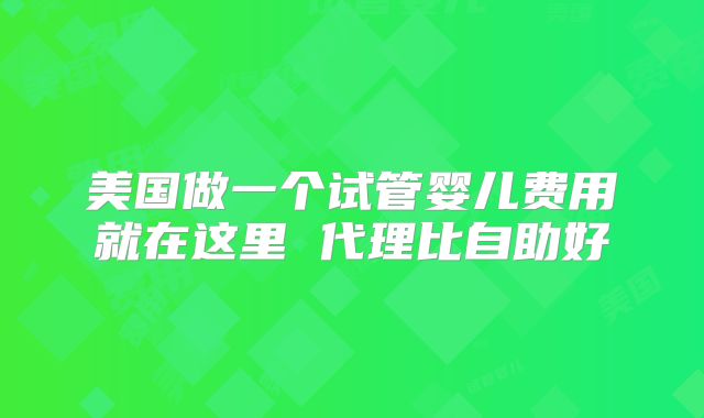 美国做一个试管婴儿费用就在这里 代理比自助好