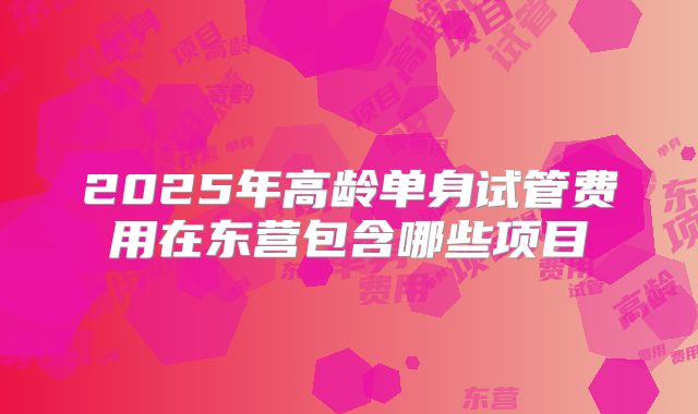 2025年高龄单身试管费用在东营包含哪些项目