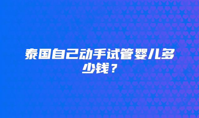 泰国自己动手试管婴儿多少钱？
