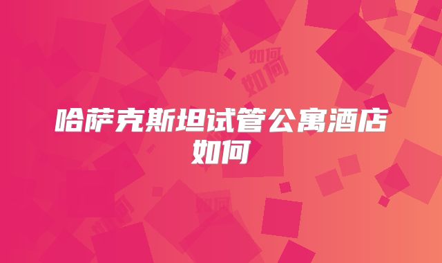 哈萨克斯坦试管公寓酒店如何