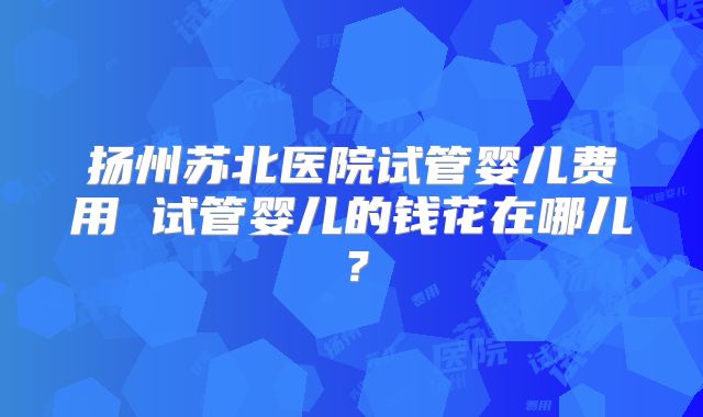 扬州苏北医院试管婴儿费用 试管婴儿的钱花在哪儿？