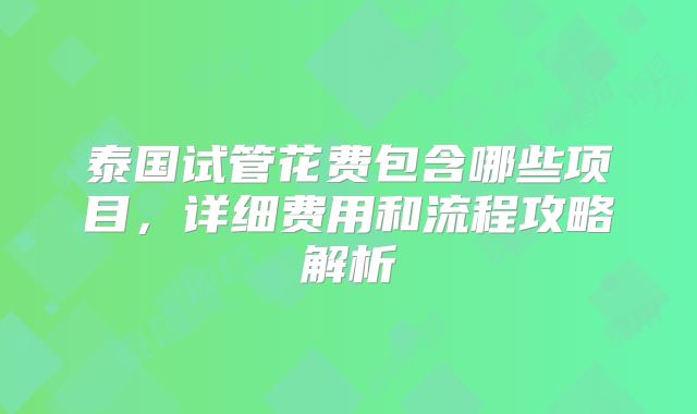 泰国试管花费包含哪些项目，详细费用和流程攻略解析