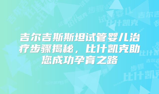 吉尔吉斯斯坦试管婴儿治疗步骤揭秘，比什凯克助您成功孕育之路