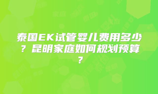 泰国EK试管婴儿费用多少？昆明家庭如何规划预算？
