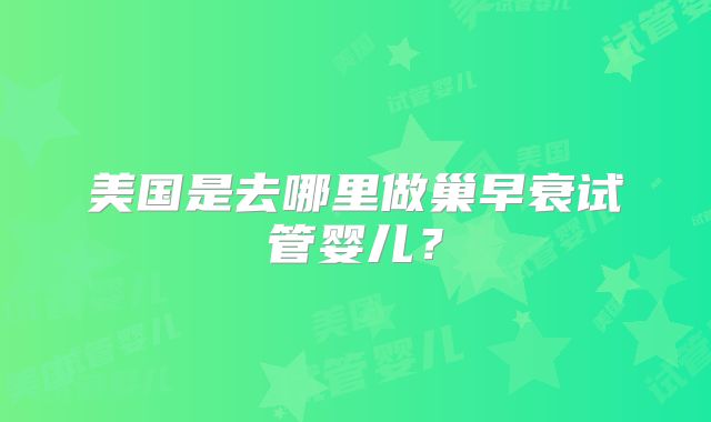 美国是去哪里做巢早衰试管婴儿?