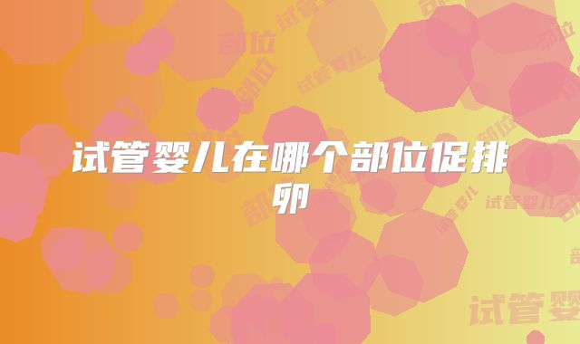 试管婴儿在哪个部位促排卵