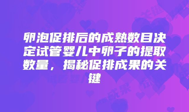 卵泡促排后的成熟数目决定试管婴儿中卵子的提取数量，揭秘促排成果的关键