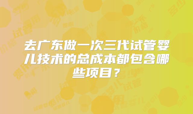 去广东做一次三代试管婴儿技术的总成本都包含哪些项目？