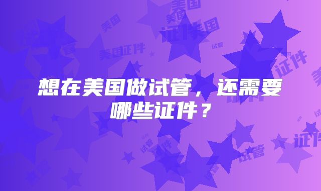 想在美国做试管，还需要哪些证件？