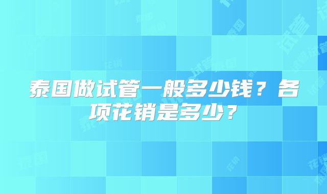 泰国做试管一般多少钱？各项花销是多少？