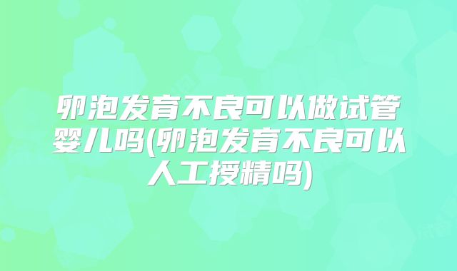 卵泡发育不良可以做试管婴儿吗(卵泡发育不良可以人工授精吗)