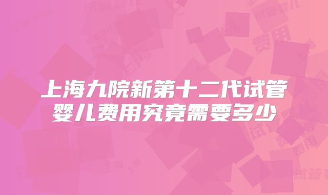 上海九院新第十二代试管婴儿费用究竟需要多少