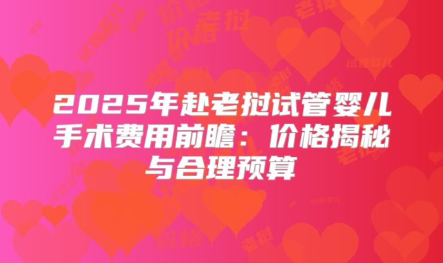 2025年赴老挝试管婴儿手术费用前瞻：价格揭秘与合理预算