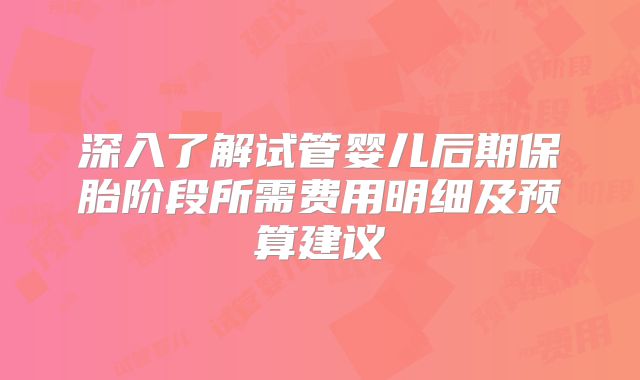 深入了解试管婴儿后期保胎阶段所需费用明细及预算建议