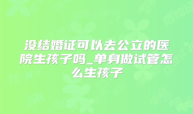 没结婚证可以去公立的医院生孩子吗_单身做试管怎么生孩子